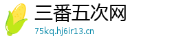 三番五次网